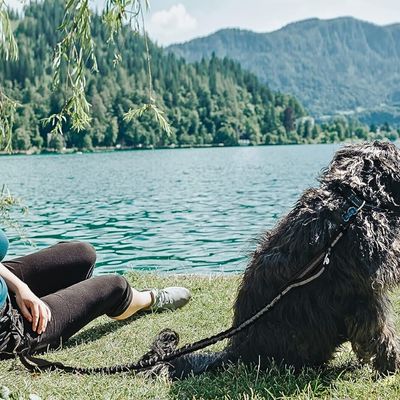 laisse-mains-libres-pour-chien-eau
