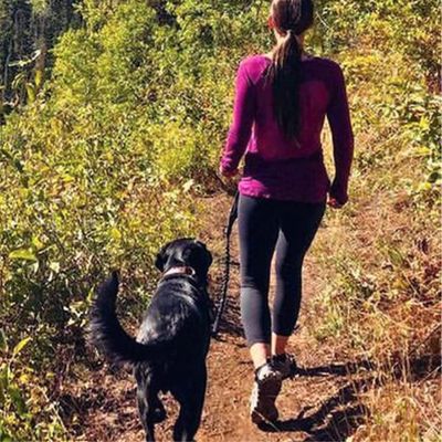 laisse-mains-libres-pour-chien-sentiers