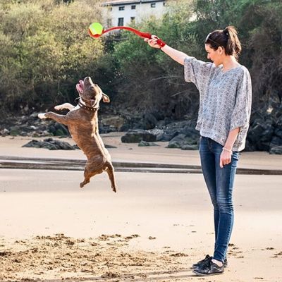 lanceur-de-balle-pour-chien-brune