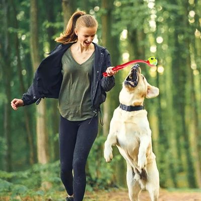 lanceur-de-balle-pour-chien-energie