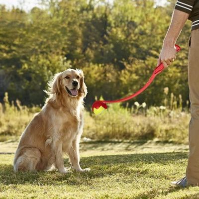 lanceur-de-balle-pour-chien-rapporteur