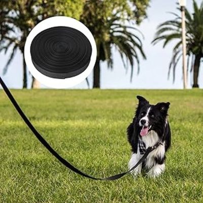 longe-chien-noir