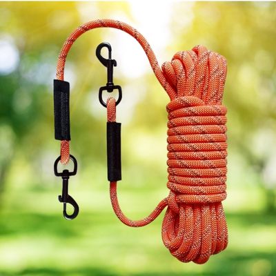 longe pour chien orange 1