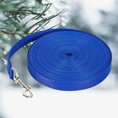 longepourchiensolide