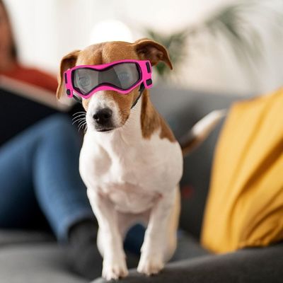 lunette-pour-chien-rose
