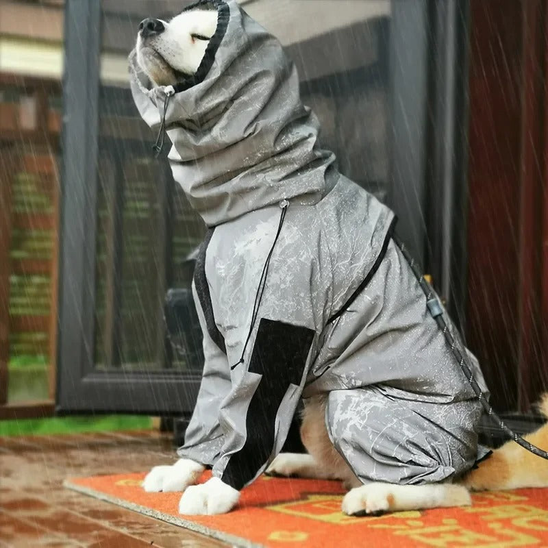 manteau-impermeable-pour-chien-eau