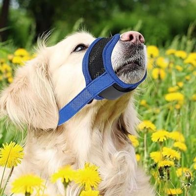 museliere-pour-chien-bleu