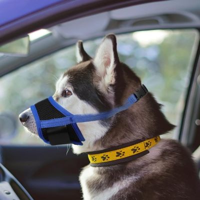 museliere-pour-chien-flexible