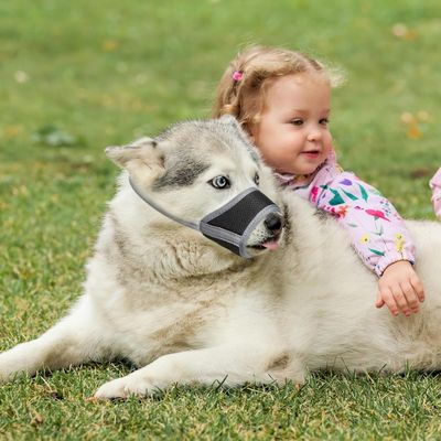 museliere-pour-chien-securitaire