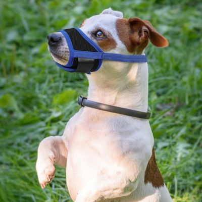 museliere-pour-chien-velcro