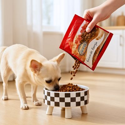 porte-gamelle-chien-croquettes