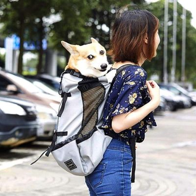 sac-a-dos-chien-liberte