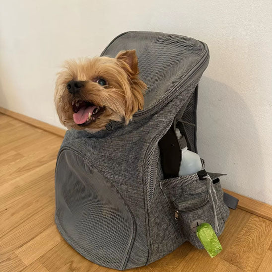sac-a-dos-pour-chien-aere