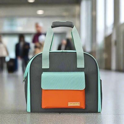 sac-a-dos-pour-chien-gare