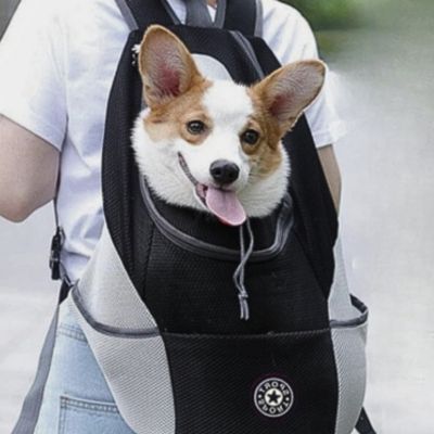 sac-a-dos-pour-chien-noir