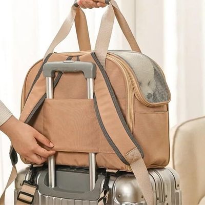 sac-a-dos-pour-chien-valise