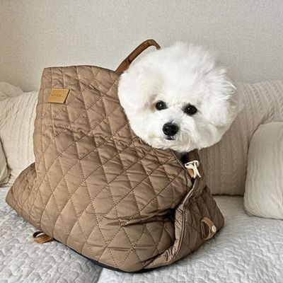 sac-de-transport-de-chien-marron