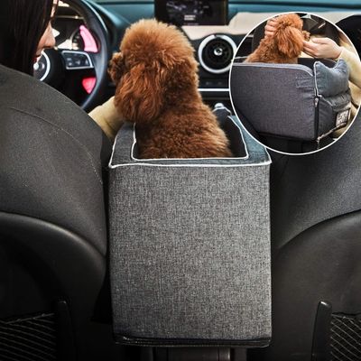 siege-auto-chien-contact