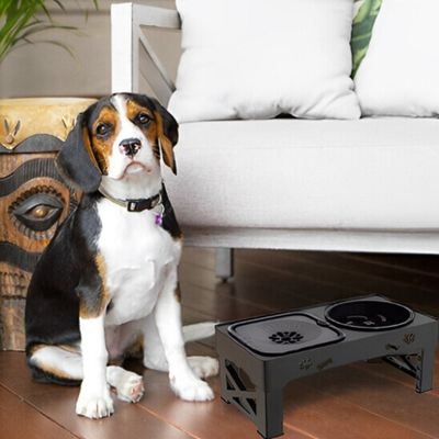 support-gamelle-chien-beagle