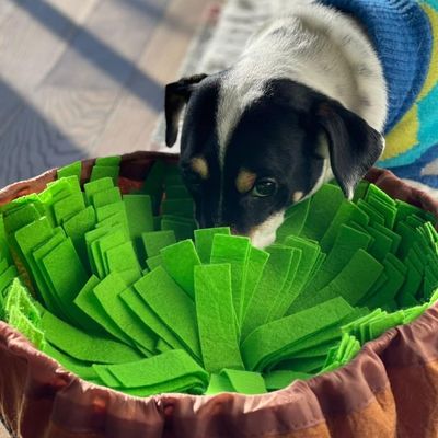 tapis-de-fouille-chien-ferme