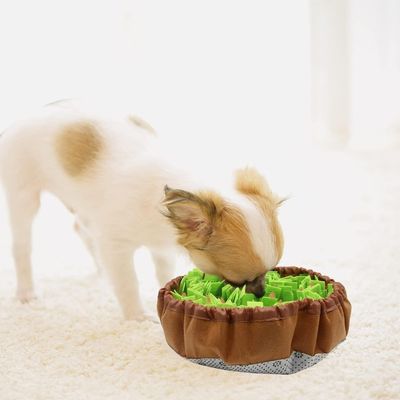 tapis-de-fouille-chien-petit