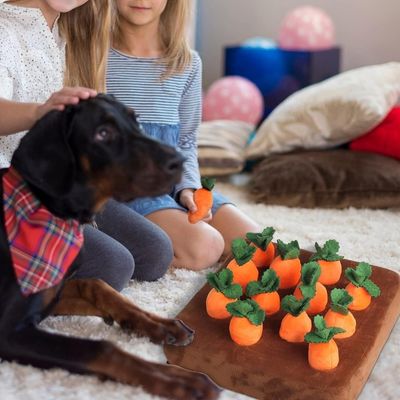 tapis-de-fouille-pour-chien-divertissant