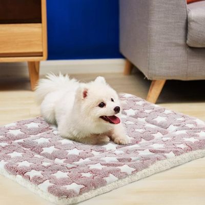 tapis-pour-chien-epais