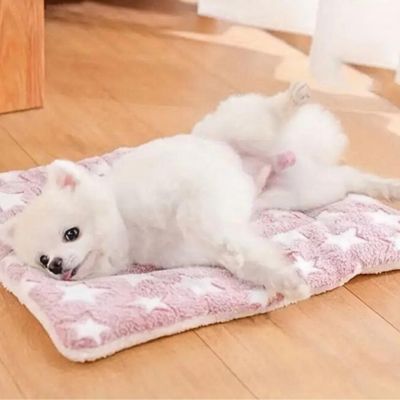 tapis-pour-chien-rose