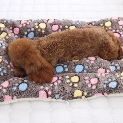 tapis-pour-chien-sommeil