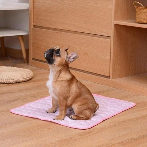 tapis-rafraichissant-chien-doux