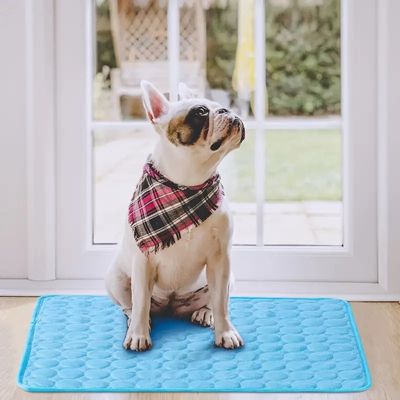 tapis-rafraichissant-chien-frais