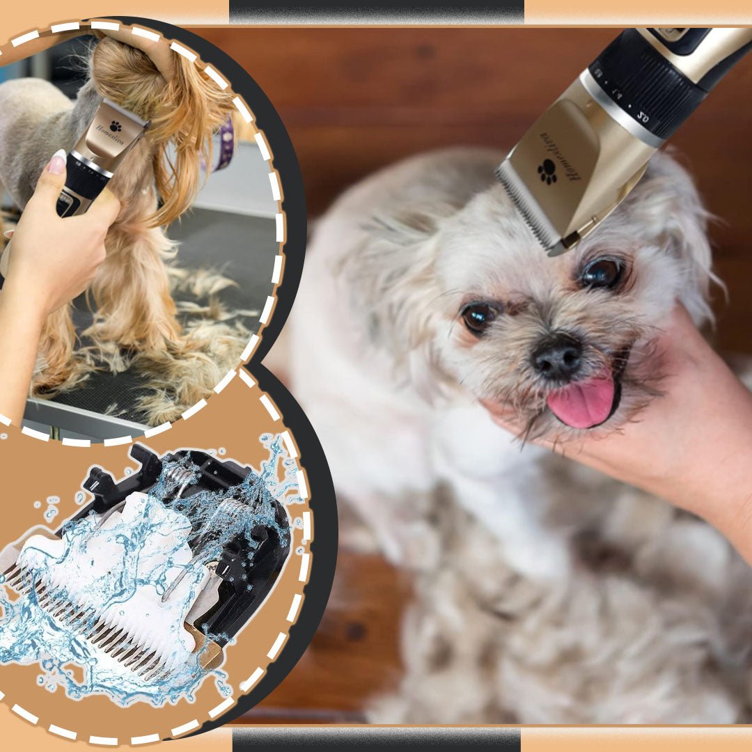 TONDEUSE POUR CHIEN | Clippet™ - Wouf chien