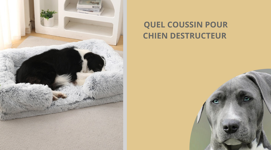 quel-coussin-pour-chien-destructeur