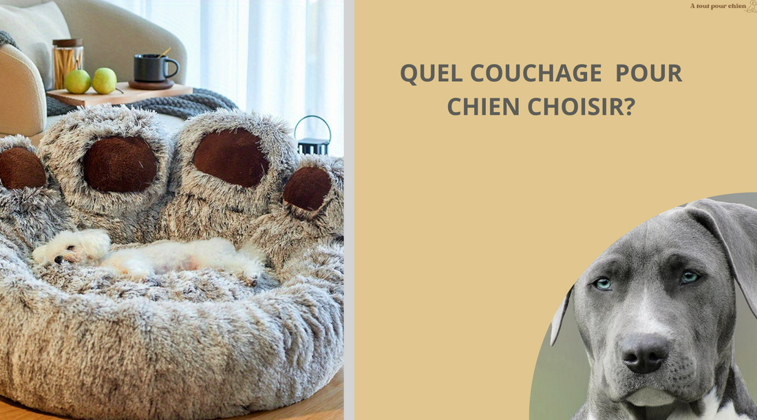 quel-couchage-pour-chien-choisir