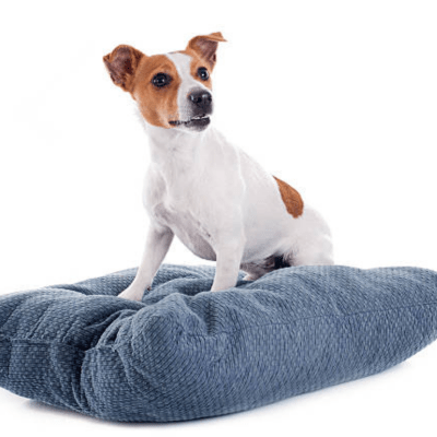COUSSIN POUR CHIEN - Wouf chien