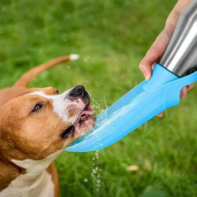 GOURDE POUR CHIEN - Wouf chien