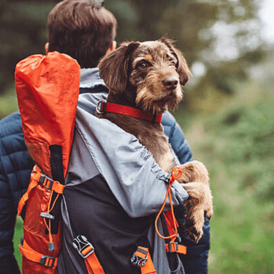 SAC A DOS POUR CHIEN - Wouf chien