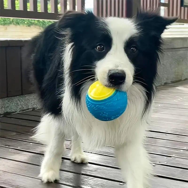 balle-pour-chien-bleu