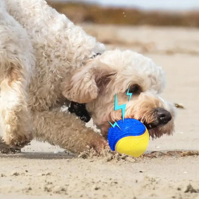 balle-pour-chien-jeu