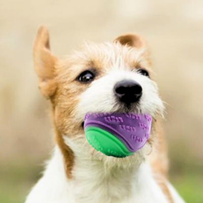 balle-pour-chien-mauve