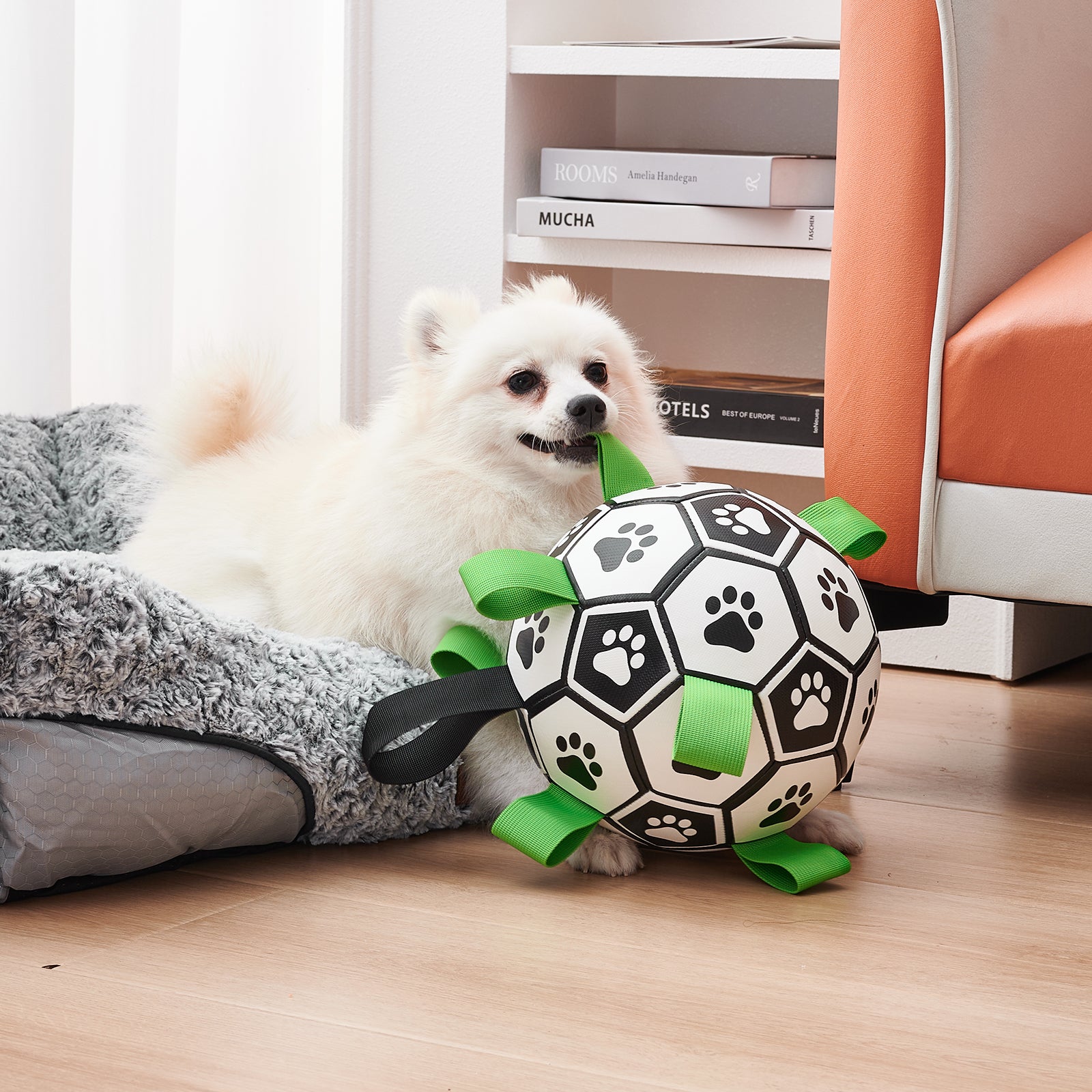 ballon-pour-chien-amusant