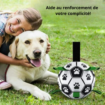 ballon-pour-chien-complicite