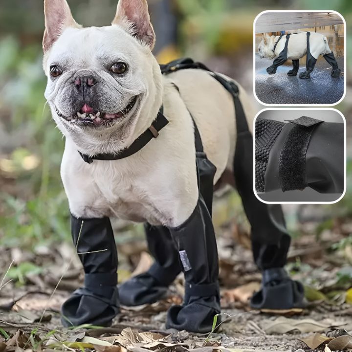 bottes-pour-chien-confortable