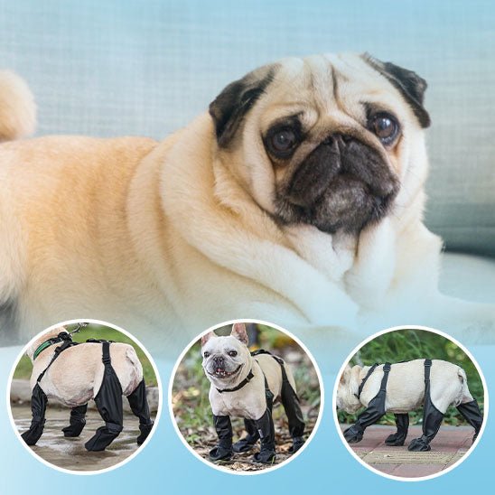 BOTTES POUR CHIEN | Doggyboot™ - Wouf chien