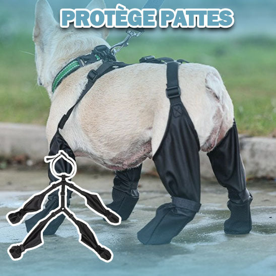 bottes-pour-chien-protection