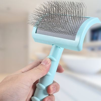 brosse-a-chien-leger
