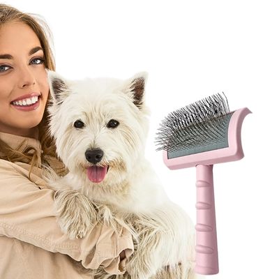 brosse-a-chien-rose