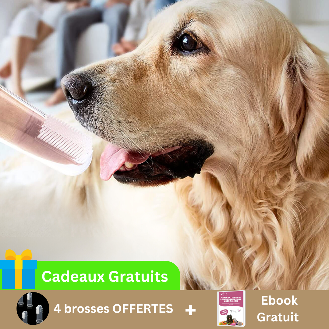 brosse-a-dent-chien-cadeaux