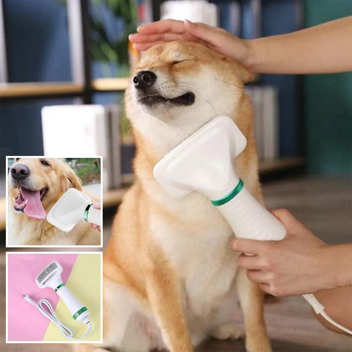 brosse-chien-poils