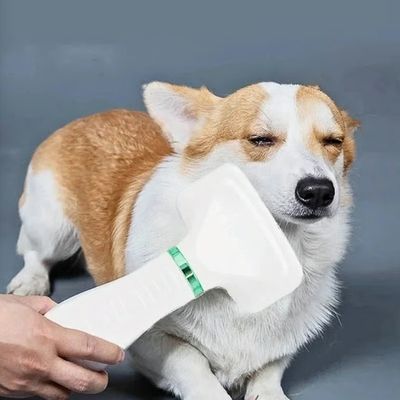 brosse chien utile
